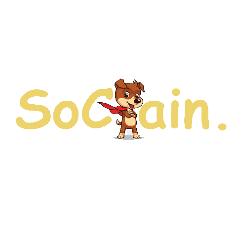 /navigation/sochain/sochain.png