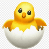 /nfts/baby-chick/baby-chick.png