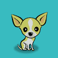 /nfts/baby-chihuahua/baby-chihuahua.png