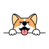 /nfts/corgidoge-1/corgidoge-1.png