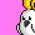 /nfts/cryptocockatoos/cryptocockatoos.png
