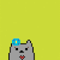 /nfts/cute-cat-17/cute-cat-17.png