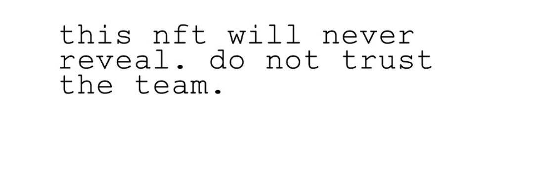 /nfts/do-not-trust-the-team/1080x360.jpg