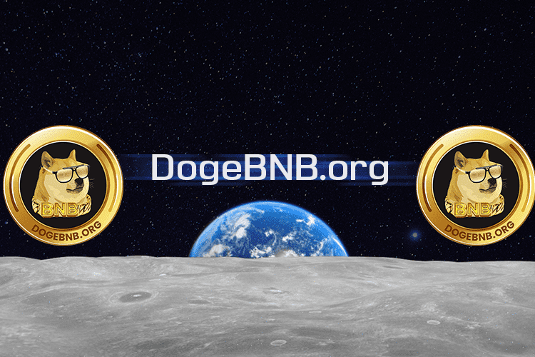 /nfts/dogebnb/dogebnborg-dapp-collectibles-bsc-image1_617d1baef57ea0065f7796924574accd.png