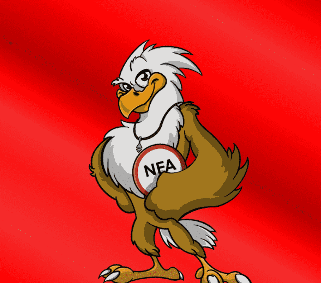 /nfts/eager-eagles-nft/1.png