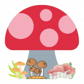 /nfts/fungi-finance/fungi-finance.png