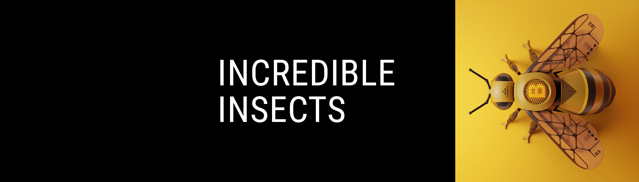 /nfts/incredible-insects/unnamed.png