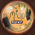/nfts/miso-cult-genesis/miso-cult-genesis.png