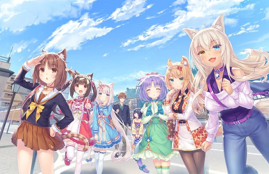 /nfts/nekopara-collection/unnamed.jpg