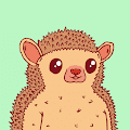 /nfts/official-hedgiez/official-hedgiez.png