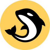 /nfts/orca/orca.png