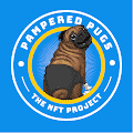 /nfts/pamperedpugs/pamperedpugs.png
