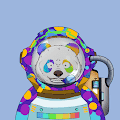 /nfts/pandaastronautclub/pandaastronautclub.png