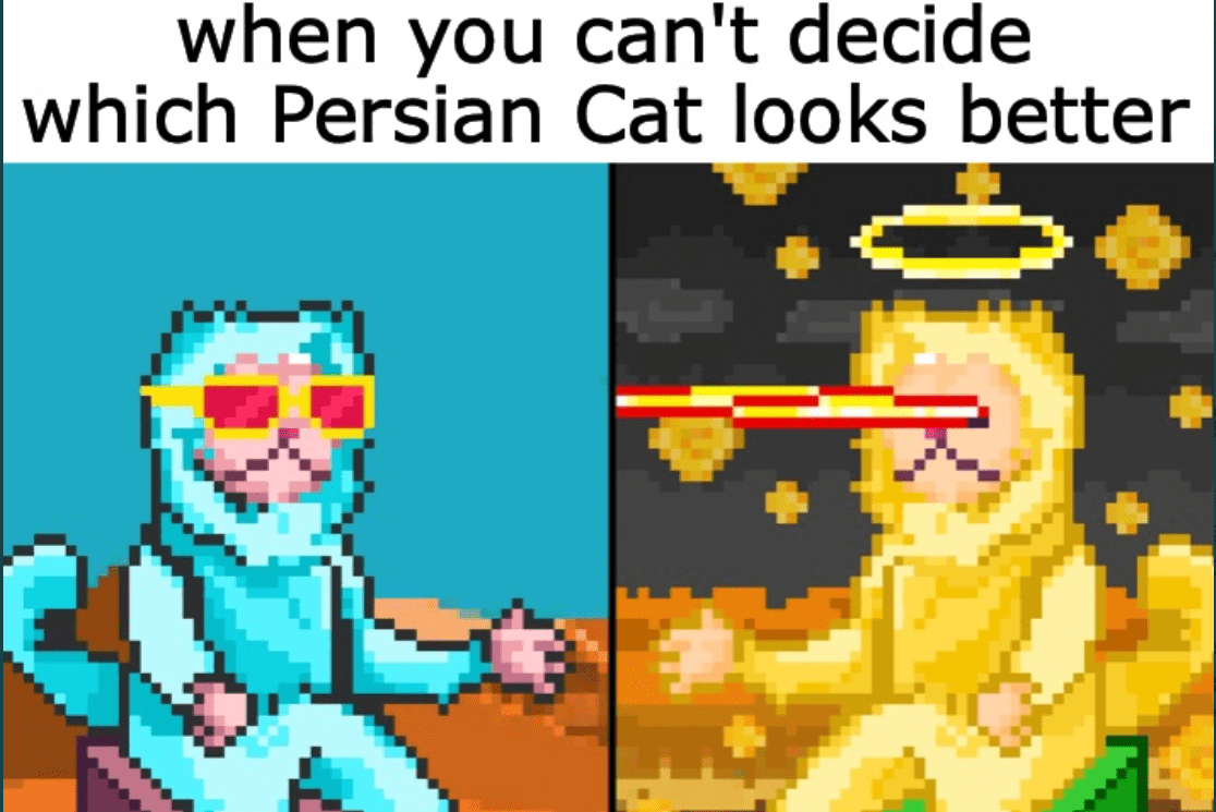 /nfts/persiancatnft/01.png