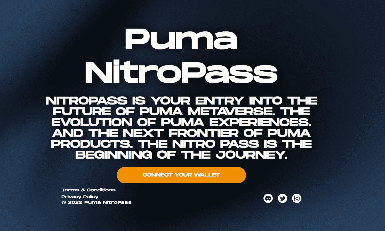/nfts/puma-nitropass-v2/546456456_new.png