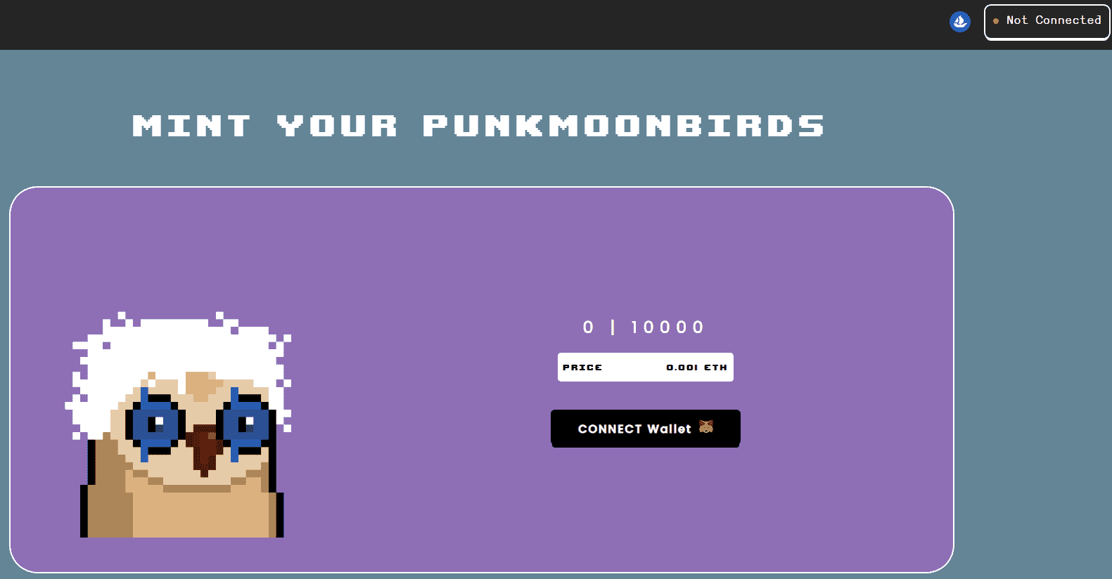 NFT /nfts/punkmoonbirds/456465.png