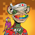 /nfts/punks2biz/punks2biz.png