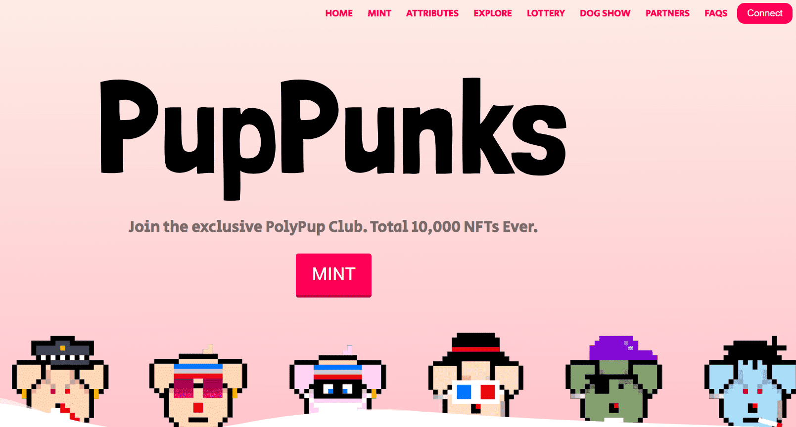 NFT /nfts/puppunks/5489.png