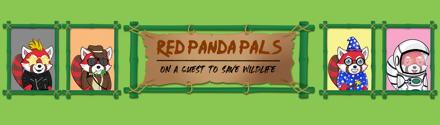 /nfts/red-panda-pals/unnamed.png