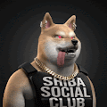 /nfts/shiba-social-clubsss/shiba-social-clubsss.png