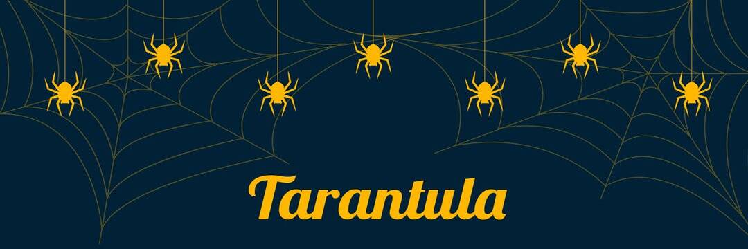 /nfts/tarantula/1080x360.jpg