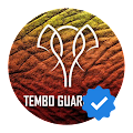 /nfts/tembo-guardians-official-collection/tembo-guardians-official-collection.png