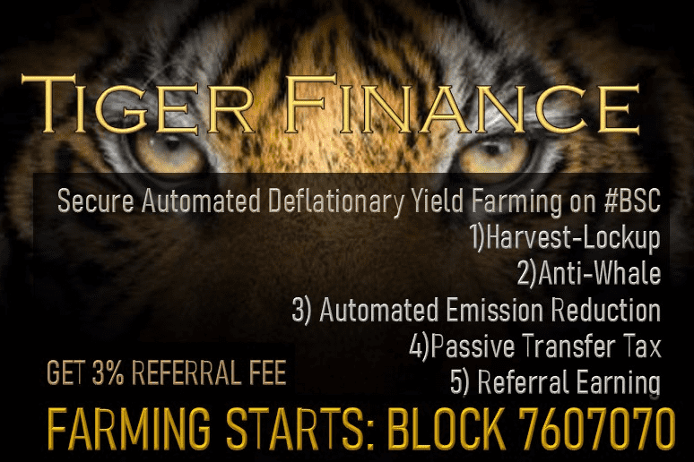 /nfts/tigerfinance/tigerfinance-dapp-defi-bsc-image1_9595b1d0f31cbc8d5600f43a50adfb6b.png