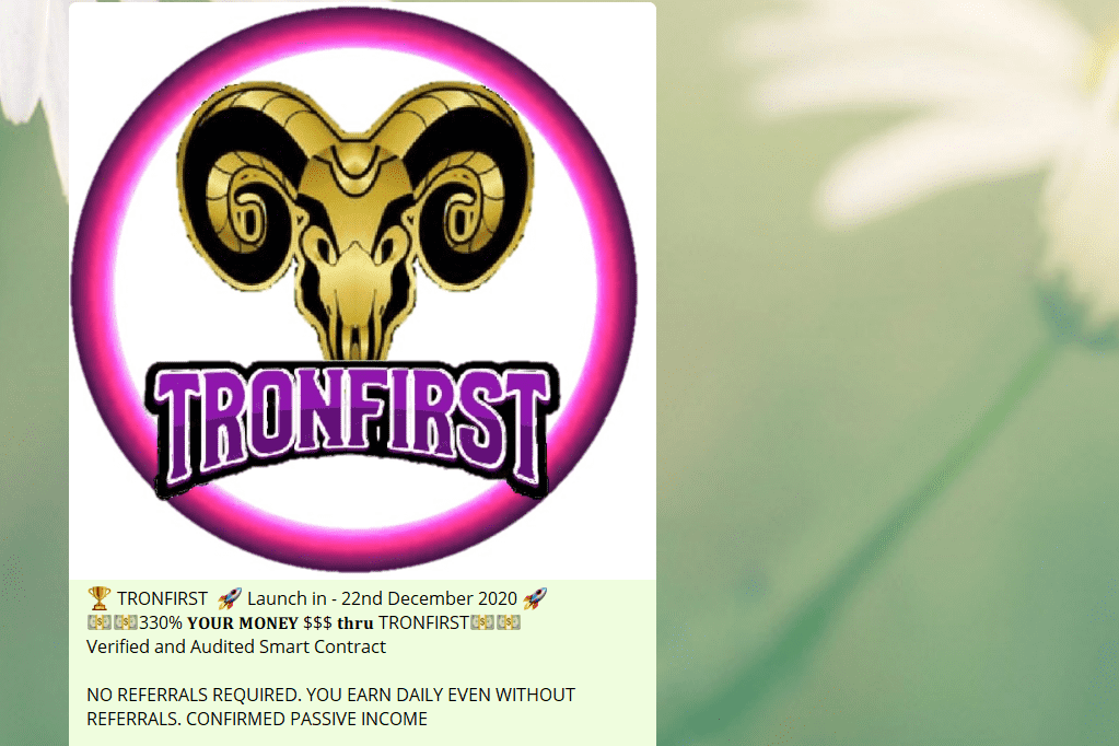 /nfts/tronfirst/tronfirst-dapp-high-risk-tron-image2_107f32f02beb1bd33f04644a1da73092.png