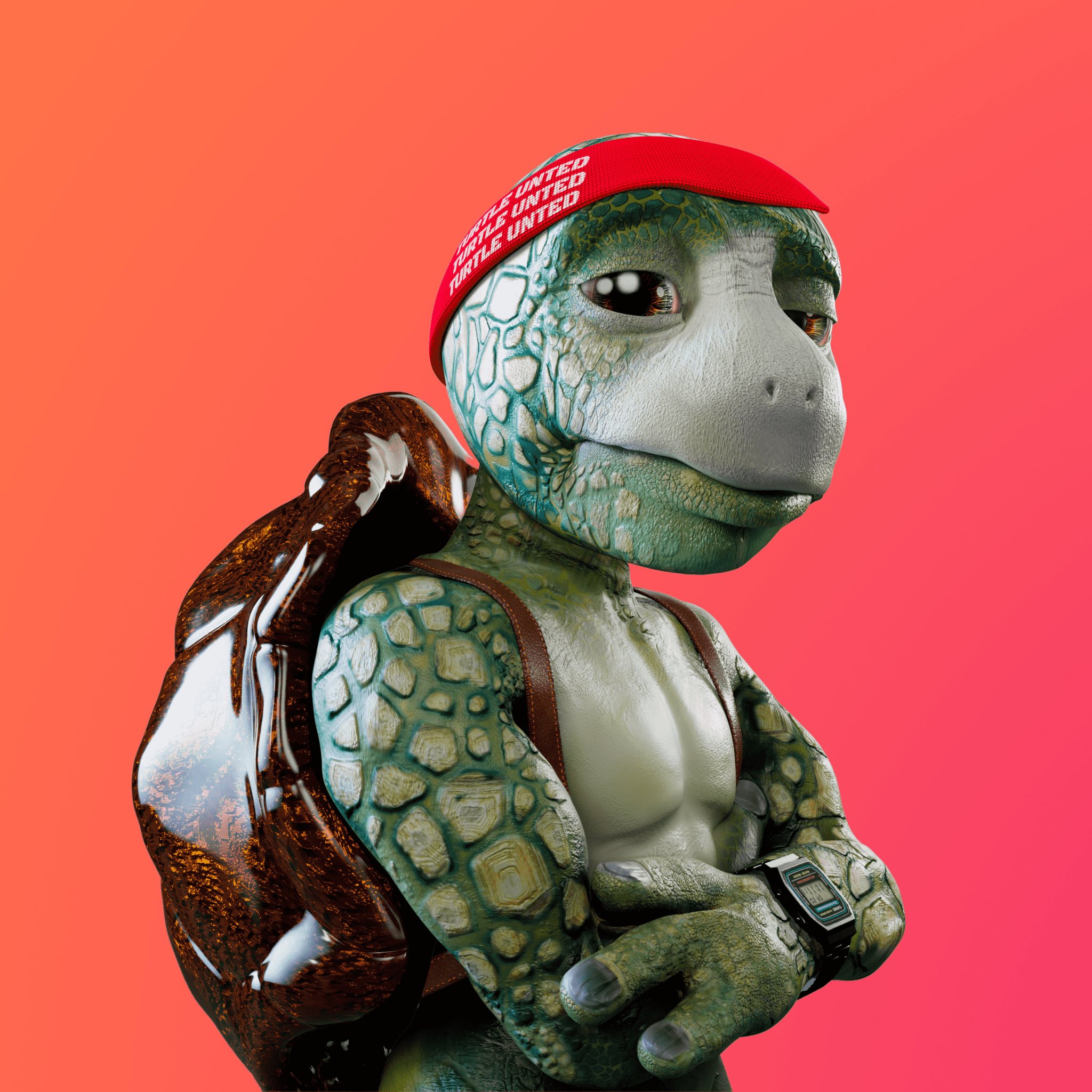 /nfts/turtle-united-genesis-collection/turtle-united-genesis-collection.png
