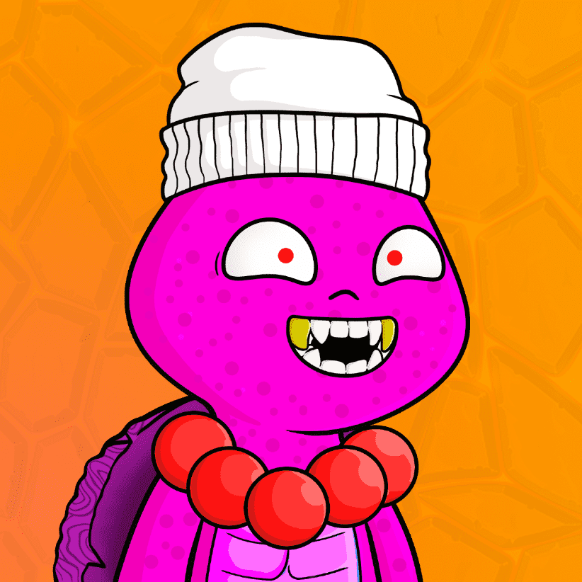 /nfts/turtlebuddy/1.png
